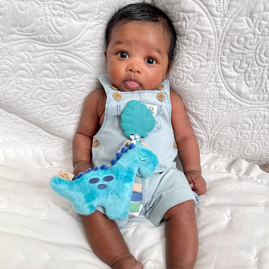 Itzy Pal™ Plush + Teether Stella Violet