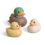Mallard