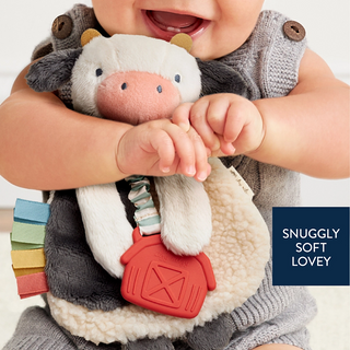 Itzy Friends Lovey™ Plush-Sensory Toy-Itzy Ritzy-Stella Violet Boutique in Arvada, Colorado