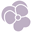 Shop Stella Violet | Online Stylish Women’s Boutique