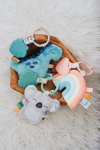 Itzy Pal™ Plush + Teether-Toys-Itzy Ritzy-Stella Violet Boutique in Arvada, Colorado