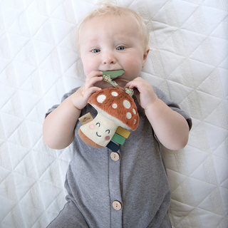 Itzy Pal™ Plush + Teether-Toys-Itzy Ritzy-Stella Violet Boutique in Arvada, Colorado