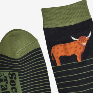 Men's Bamboo Socks - Highland Cow Stripe-Socks-Sock Talk-Stella Violet Boutique in Arvada, Colorado