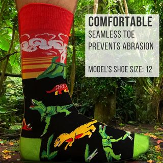 Men's Socks - Dinosaurs-Socks-Imagery Socks-Stella Violet Boutique in Arvada, Colorado