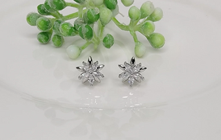 Double Star Cubic Zirconia Post Earrings-Earrings-Betty Oh-Stella Violet Boutique in Arvada, Colorado