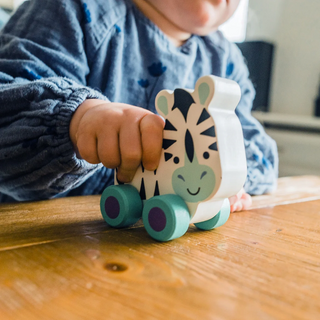 First Push Toy-Toys-Orange Tree Toys-Stella Violet Boutique in Arvada, Colorado